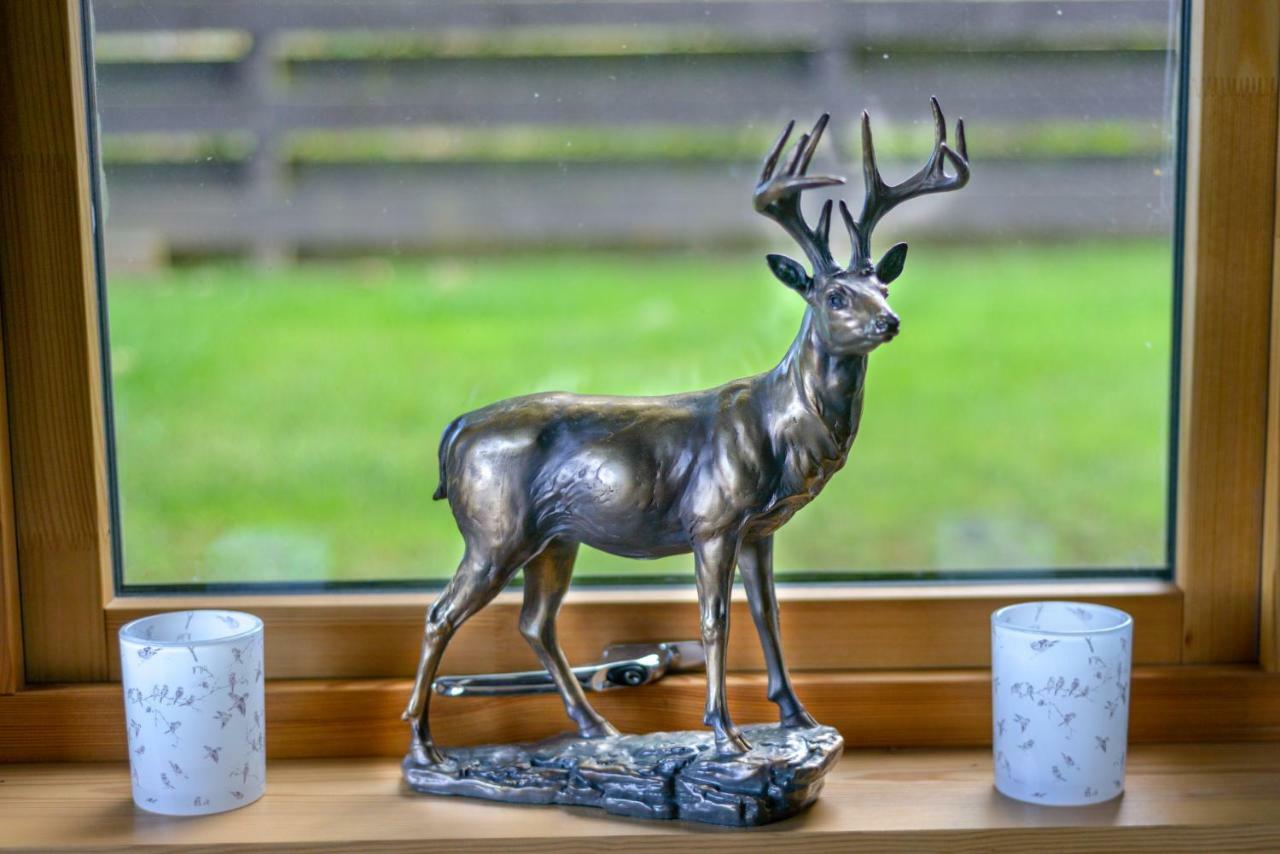 Rowanlea Lodge Marykirk Zewnętrze zdjęcie